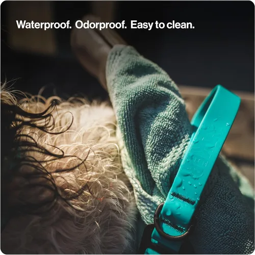 Vista 2 de Säker Kelp™ Correa Impermeable para Perros – Resistente, A Prueba de Olores, Correa para Perros Ajustable de 4 a 6 pies de Largo con Mosquetón