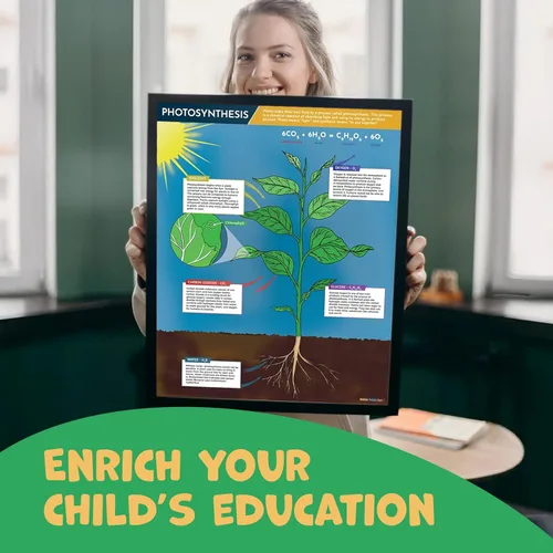 Vista 6 de Hubble Bubble Kids Carteles de ciencia para decoración de aulas: 4 carteles de biología incluyen póster de ADN, fotosíntesis, células vegetales