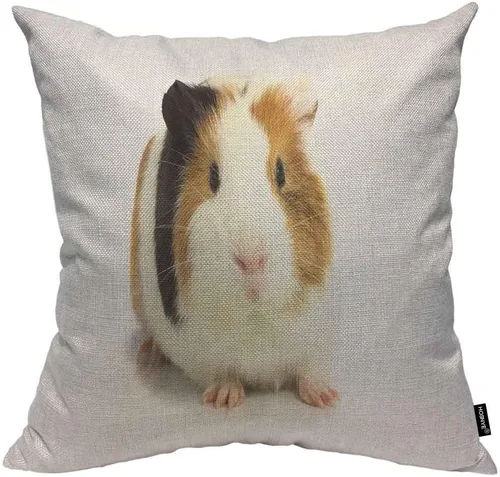 Vista 10 de HOSNYE Funda de almohada decorativa de árboles de abeto y pino 16x16, árboles verdes saludables en un cojín de almohada de abeto antiguo, funda