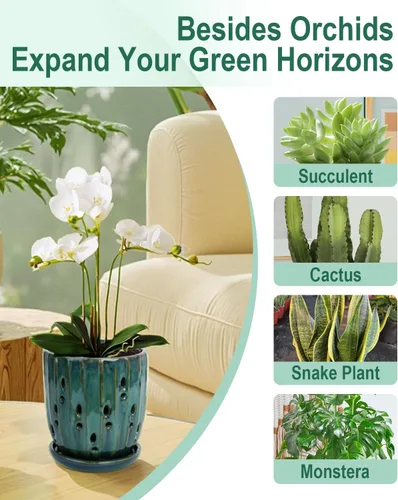 Vista 3 de Maceta de cerámica para orquídeas de 6 pulgadas con agujeros y Carrot