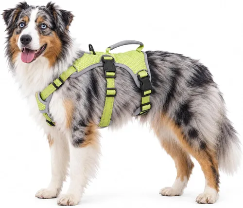 Vista 14 de Huntboo - Arnés para perro a prueba de escape, arnés reflectante con asa, duradero, chaleco ajustable para perros pequeños, medianos y grandes