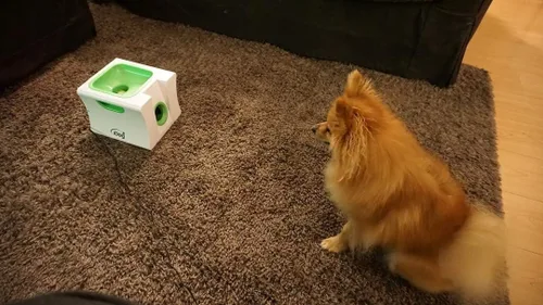 Vista 4 de Pequeño lanzador de bolas interactivo con recargable, lanzador automático de bolas para perros pequeños (máquina pequeña con 3 bolas)