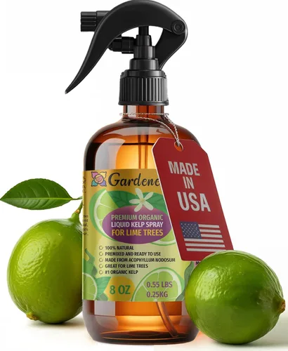Vista 30 de GARDENERA Spray orgánico profesional de algas marinas para plantas de orquídeas – 8 oz – Rocío fertilizante de algas marinas y algas marinas