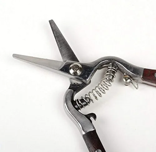 Vista 2 de Voyager Tools Acero inoxidable 8 "Cizalla de poda de uva con mango de madera, tijeras de podar con resorte
