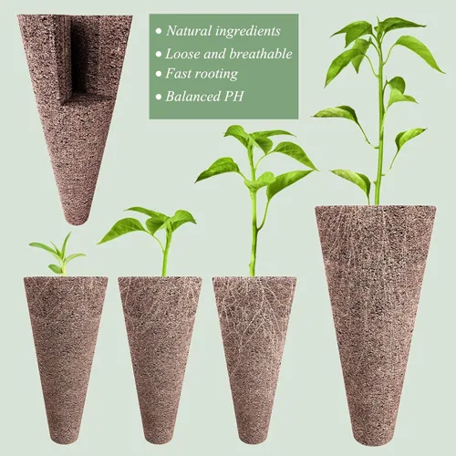 Vista 3 de Kit de 50 piezas de cápsulas hidropónicas Tigvio: Cultive cualquier cosa con 50 esponjas de cultivo - Compatible con todas las marcas de hidroponía