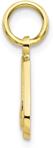 Vista 2 de Colgante de oro amarillo macizo de 10 quilates 0630in x 0433in