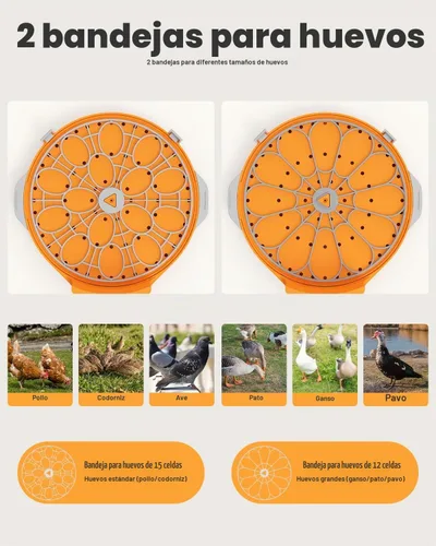 Vista 4 de Incubadora de 15 huevos con recarga lateral de agua, control automático de humedad, girador automático de huevos, temperatura ajustable, vela