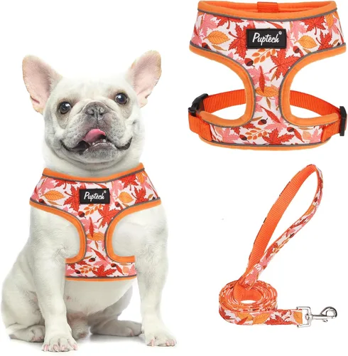 Vista 102 de PUPTECK Juego de arnés y correa de malla suave para perro, cachorro y gato, cómodo chaleco acolchado sin tirones, azul Pascua, S