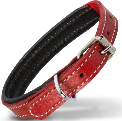 Vista 21 de Filbert Collar de cuero para perro, collar de cuero genuino para perros pequeños, acolchado de lujo, fuerte, ajustable para todas las razas, hebilla