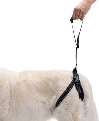Vista 5 de Ortocanis - Soporte de arnés trasero para perros. Talla única (para perros de 4 a 121.3 lbs)