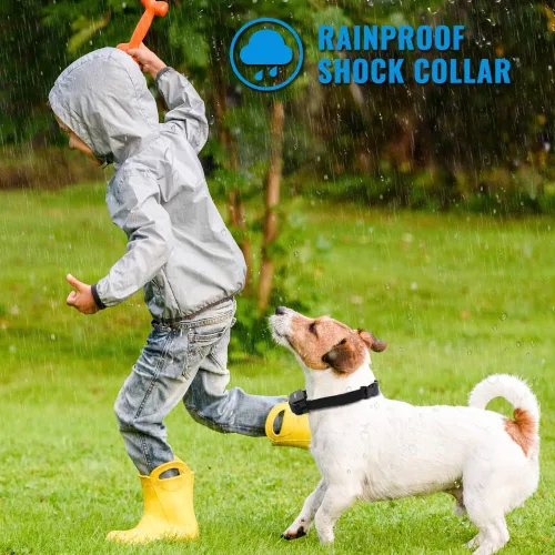 Vista 4 de Petrainer PET998DRB1 Collar de entrenamiento para perros recargable y resistente a la lluvia 330 yd Collar de entrenamiento remoto para perros