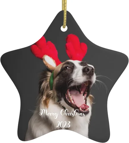 Vista 7 de Adorno de Navidad personalizado con foto 2023, decoración de árbol de Navidad de cerámica personalizada con cualquier imagen/texto, adorno de Círculo