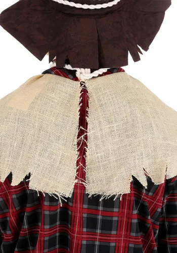 Vista 7 de Disfraz de California Costumes de espantapájaros malvado para hombre