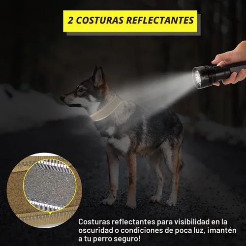 Vista 4 de Collar táctico para perro con asa, collar de entrenamiento militar ajustable para perros, nailon suave y hebilla de metal resistente para perros