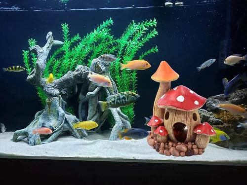 Vista 5 de Bonita decoración de casa de hongos para acuario, adorno de pecera, cuevas de Pleco para escondite de peces pequeños y decoraciones de jardín