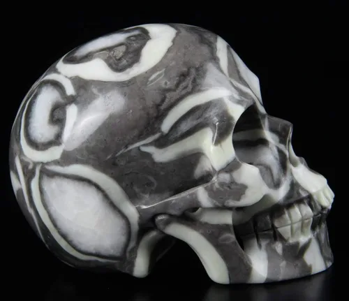Vista 5 de Skullis Cráneo de cristal fósil raro de 2.0 pulgadas, escultura de arte fino de piedras preciosas talladas a mano, estatua de piedra curativa