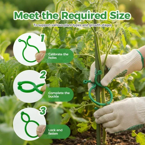 Vista 4 de Clips de soporte para plantas, clip de plástico seguro para plantas, clips de enrejado para tomate, uva, vid, verduras, clip de fijación de plantas