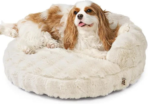 Vista 20 de EHEYCIGA Sofá cama suave para gatos de interior, cama extra pequeña esponjosa para perros con funda extraíble lavable, sofá para mascotas, Camello
