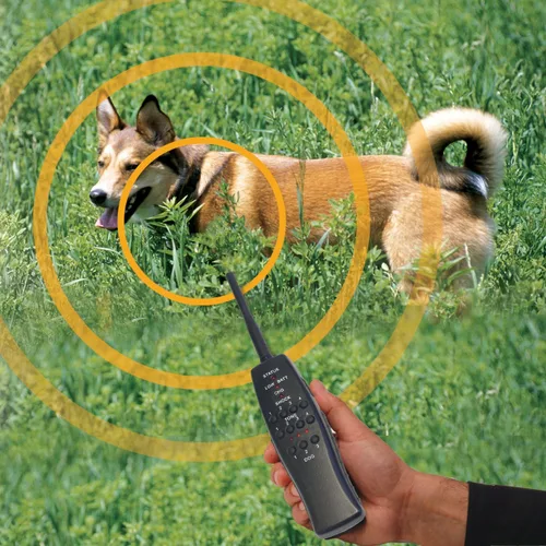 Vista 4 de High Tech Pet Sistema de adiestramiento para perros Express Train Remote Radio RT-1
