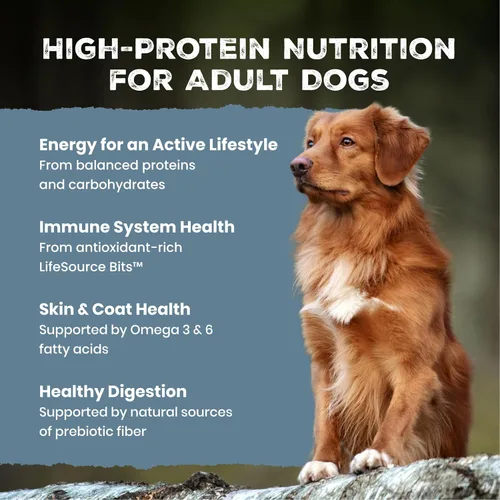 Vista 3 de Blue Buffalo Wilderness - Alimento seco natural con alto contenido proteínico y cereales saludables para perros adultos, pollo, bolsa de 4.5 libras