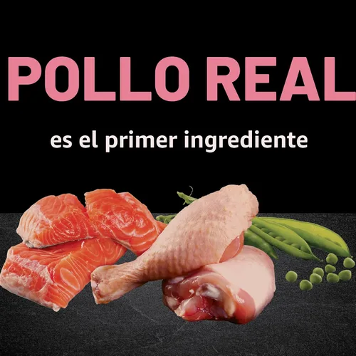 Vista 3 de CRAVE Alimento seco para gatos de interior con alto contenido de proteínas
