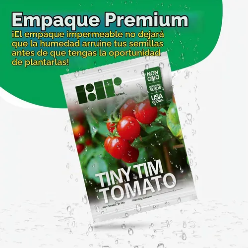 Vista 6 de 50 semillas de tomate Tiny Tim para plantar, tomate de patio, reliquia enana, tomate cherry