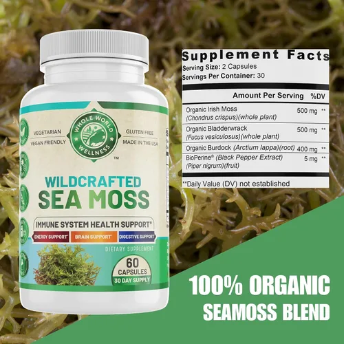 Vista 3 de Musgo marino orgánico Apoyo inmunológico y salud cerebral Vejiga, raíz de bardana y bioperina Todo natural, sin lácteos, sin gluten 60