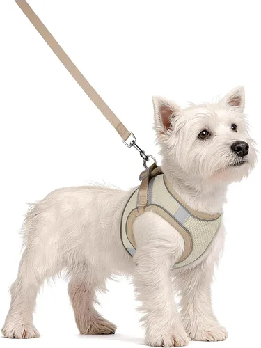 Vista 2 de Solmoony Arnés para perros pequeños y medianos sin tirones, juego de arnés y correa para cachorro, arnés para cachorros para perros pequeños, arnés