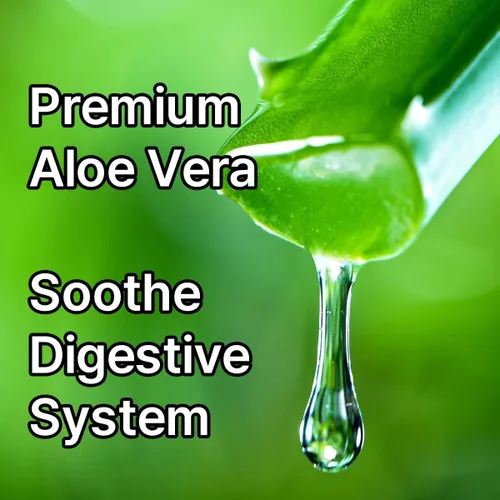 Vista 3 de Eleotin Kalimera Herbal Colon Detox & Cleanse Apoya la salud intestinal y la regularidad digestiva Mezcla natural con apio, aloe vera, alfalfa
