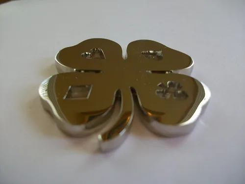 Vista 2 de Cuatro hojas trébol Poker Peso (Plata)