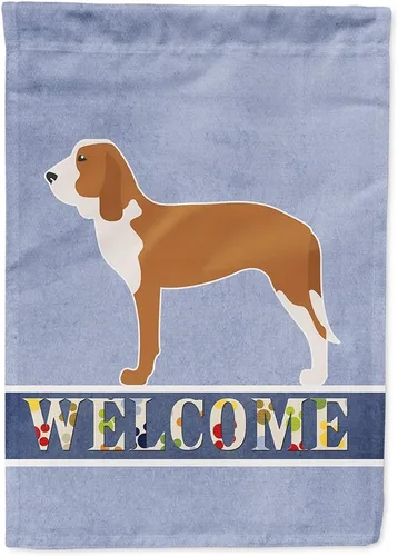 Vista 117 de Caroline's Treasures BB5552GF Affenpinscher Bandera de bienvenida para jardín, bandera decorativa para patio exterior, patio, parterres