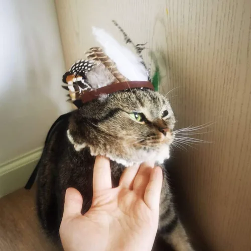 Vista 4 de Accesorio para disfraz de mascota, sombrero ajustable de plumas indias para fiesta de Halloween