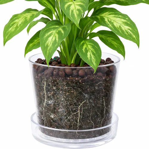 Vista 11 de Maceta Phoenix Vine de 3.5 pulgadas de acrílico transparente con bandeja, maceta para orquídeas con agujeros de drenaje, platillo profundo