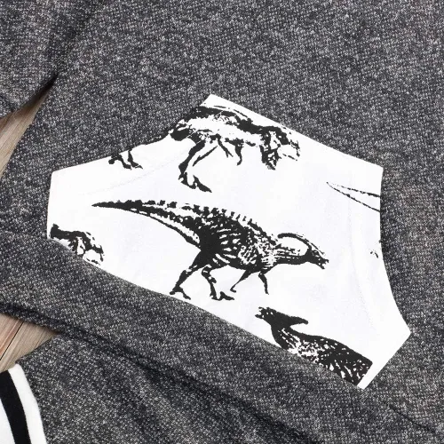 Vista 4 de Conjunto de sudadera con capucha para bebés y niños con diseño de dinosaurio de manga larga con capucha y pantalones
