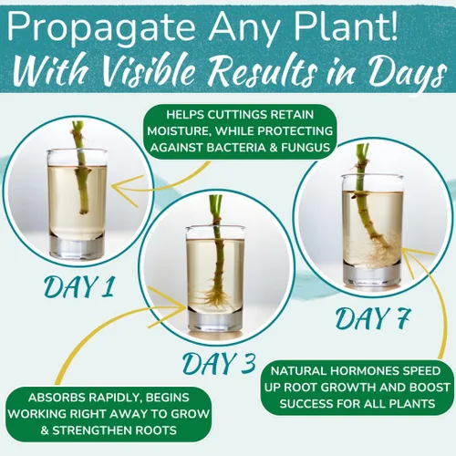 Vista 2 de Houseplant Prop Drops - Promotor de propagación y hormona de crecimiento de raíces Estimulador de raíces para esquejes Apoya plantas más fuertes