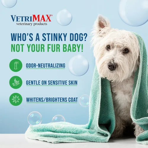 Vista 4 de Champú medicado hipoalergénico para perros con ácido salicílico, piel y cabello sensibles, con picazón y lavado y eliminador de olores (4 onzas)