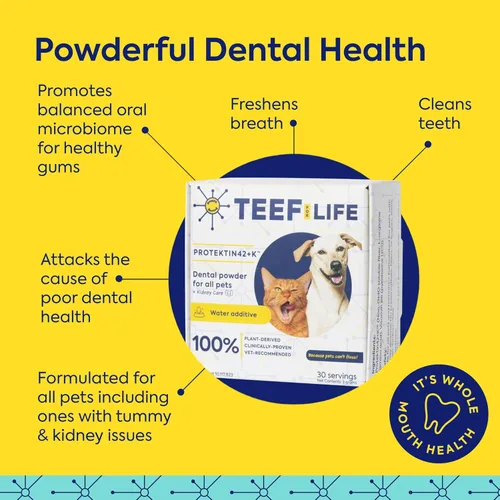 Vista 3 de TEEF FOR LIFE Protektin42K Kit de polvo dental prebiótico para gatos