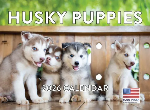 Vista 138 de Calendario mensual de pared Airedale Terrier Dog 2027 rojo (Airedale Terrier)