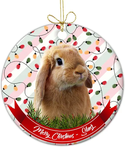 Vista 17 de Adorno personalizado para foto de perro, adorno de Navidad personalizado para mascotas 2023, regalos de Navidad personalizados para cachorros