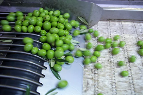 Vista 3 de Cat Cora's Kitchen - Aceitunas verdes sin hueso, orégano y limón, 2.3 onzas (paquete de 8)