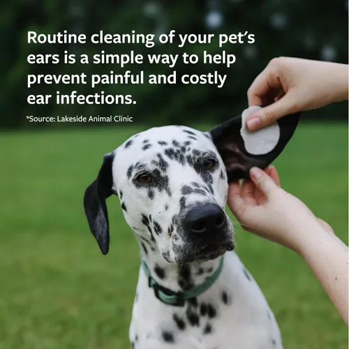 Vista 4 de Amazon Basics Fórmula veterinaria Terapia de Autos Clínicos, 4 oz. - Fórmula medicada trata infecciones bacterianas, fúngicas y de levadura