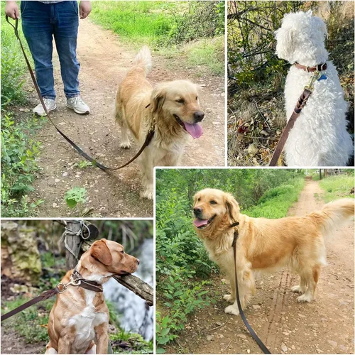 Vista 6 de Correa de perro de cuero 4 pies x 3/4 pulgada, Correa de entrenamiento para perros de cuero genuino trenzado resistente, suave y cómoda para perros
