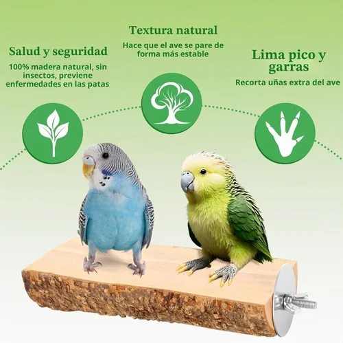 Vista 4 de Plataforma de perca de pájaro de madera de manzana natural de 2 Se adapta a loros pequeños (conejos, conures) Parte superior plana y parte