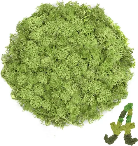 Vista 13 de Musgo de reno azul de 3.5 onzas, musgo preservado para plantas, decoración de musgo, musgo verde para manualidades, musgo para plantas en maceta