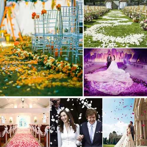 Vista 2 de ocharzy 1000 pétalos de rosa artificiales de seda para decoración de boda, noche romántica, día de San Valentín, fiestas, eventos Gradiente B Rosa