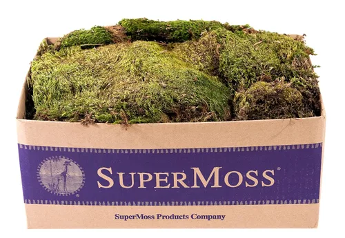 Vista 7 de SuperMoss - Musgo decorativo preservado., Verde fresco