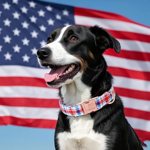 Vista 190 de Collar para perros del 4 de julio, collares patrióticos azules para cachorros y perros pequeños, ligero y ajustable 1776 collares para cachorros