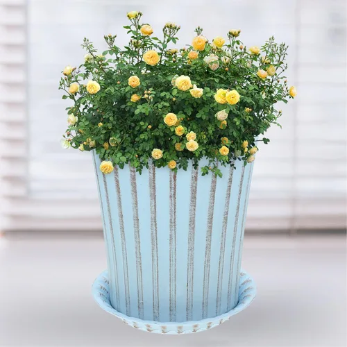 Vista 8 de Happyyami 2 juegos de macetas de orquídeas macetas decorativas para bonsái, maceta de interior con macetas de drenaje para plantas, macetas