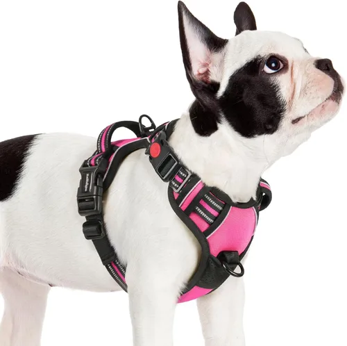 Vista 65 de Rabbitgoo - Arnés para perro de tamaño pequeño, arnés para mascotas sin tirones con 3 hebillas, chaleco acolchado suave ajustable con mango