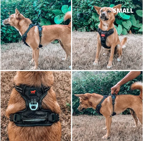 Vista 6 de Tuff Pupper Arnés para perro sin tirones, chaleco resistente para mascotas, clips para correa delantera y trasera, mango de seguridad fuerte